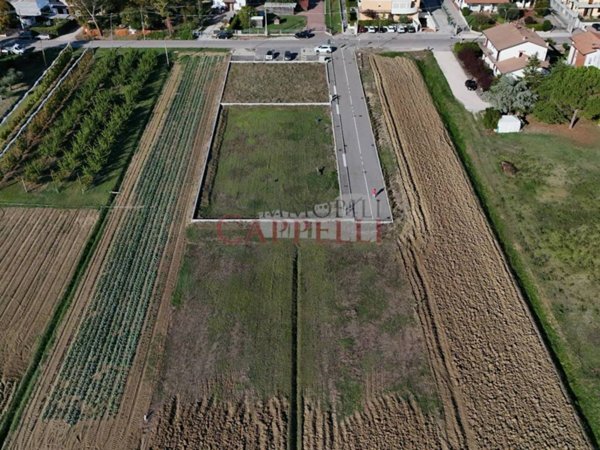terreno agricolo in vendita a Bertinoro in zona Santa Maria Nuova Spallicci