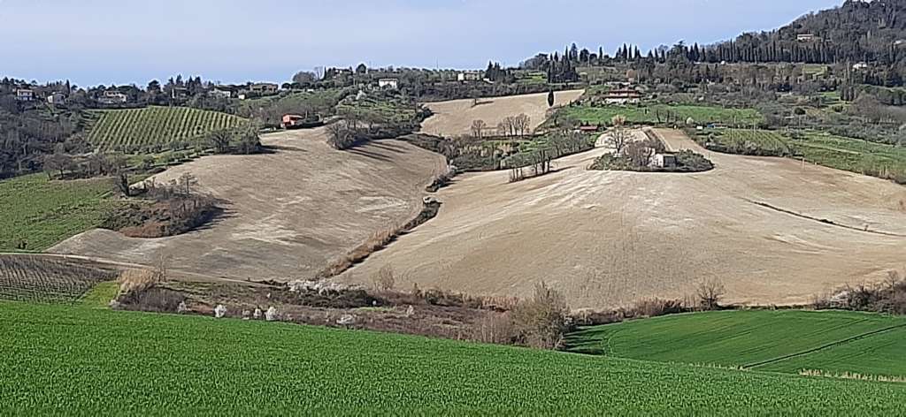 casa indipendente in vendita a Bertinoro in zona Panighina