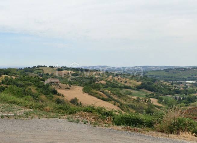 terreno edificabile in vendita a Borghi in zona Tribola