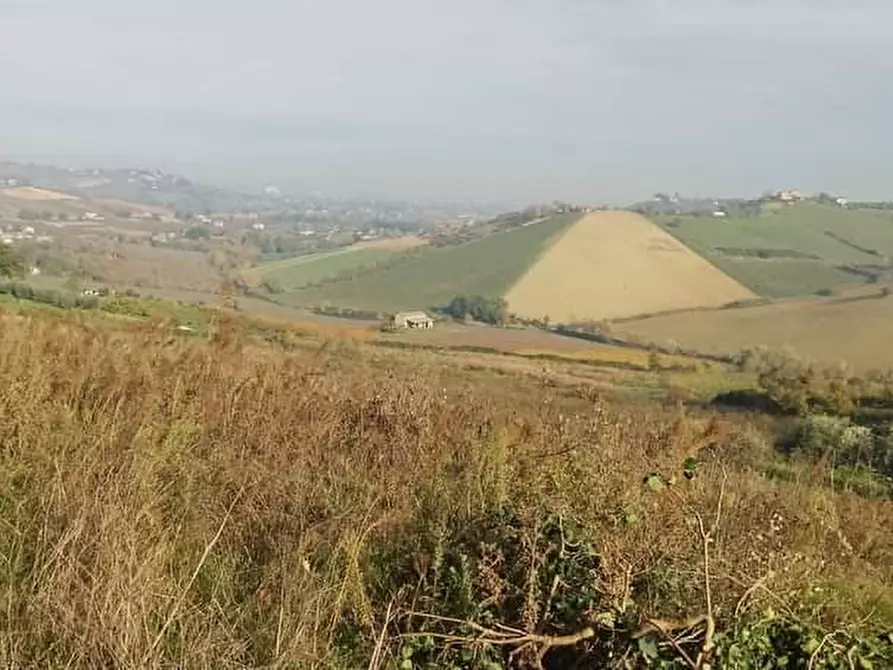 terreno agricolo in vendita a Borghi in zona Castellaro
