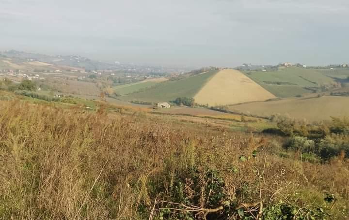 terreno agricolo in vendita a Borghi in zona Castellaro