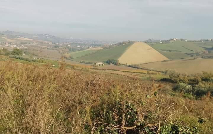 terreno agricolo in vendita a Borghi