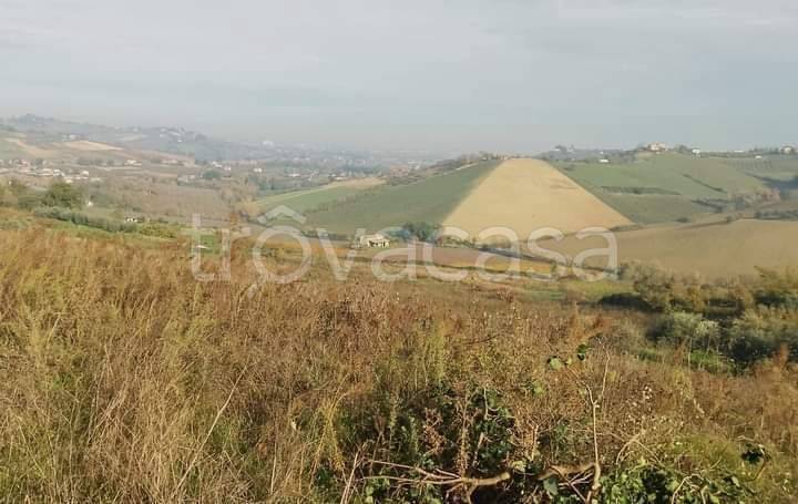 terreno agricolo in vendita a Borghi