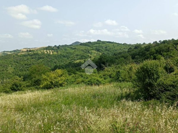 terreno edificabile in vendita a Borghi