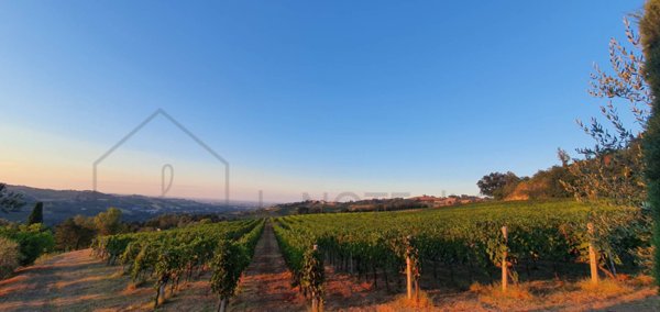 terreno agricolo in vendita a Borghi
