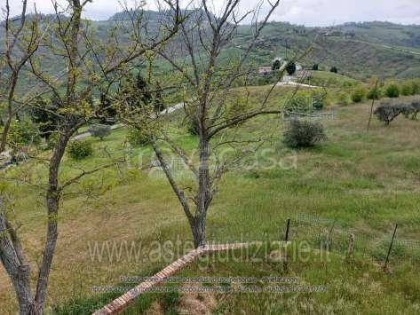appartamento in vendita a Borghi