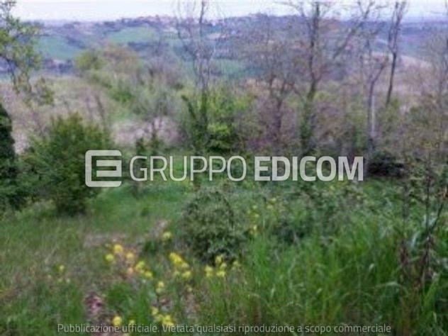 terreno agricolo in vendita a Borghi