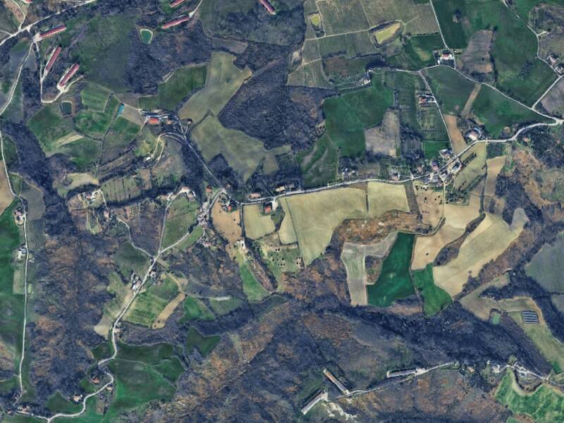 terreno agricolo in vendita a Borghi