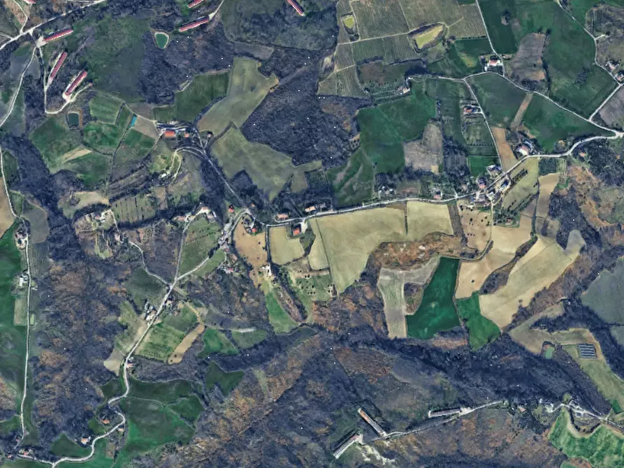 terreno agricolo in vendita a Borghi