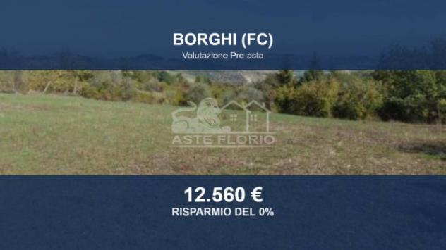 terreno agricolo in vendita a Borghi