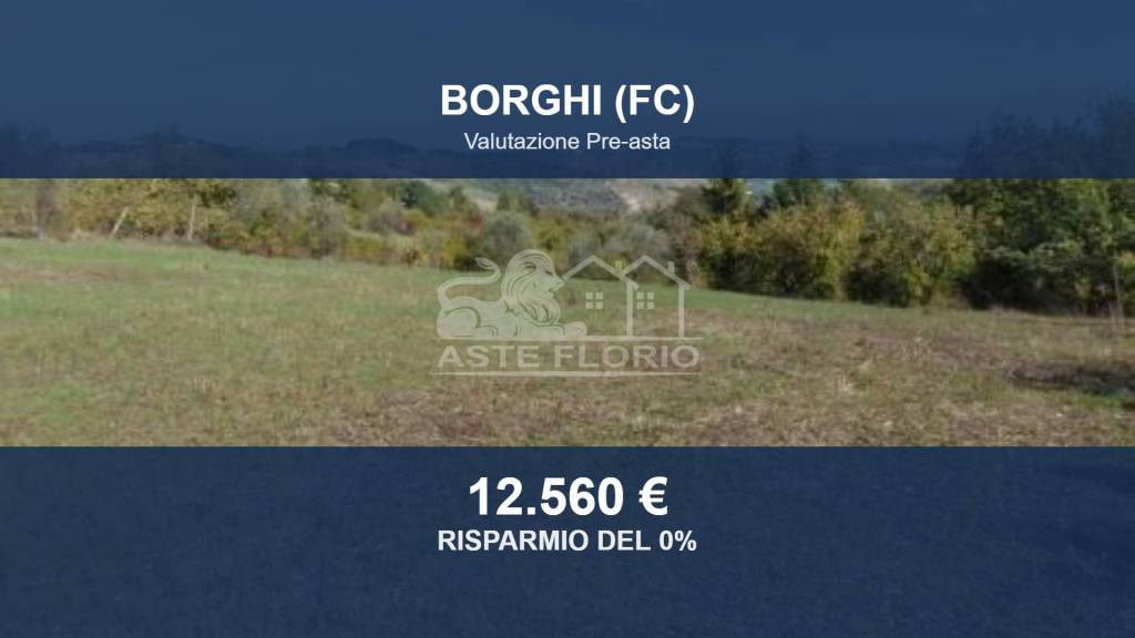 terreno agricolo in vendita a Borghi