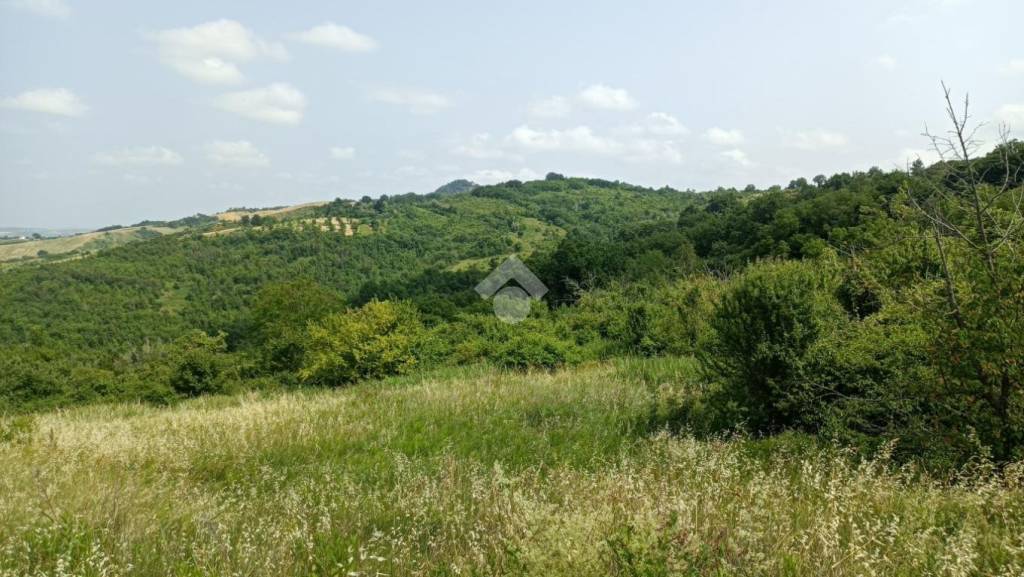 terreno in vendita a Borghi