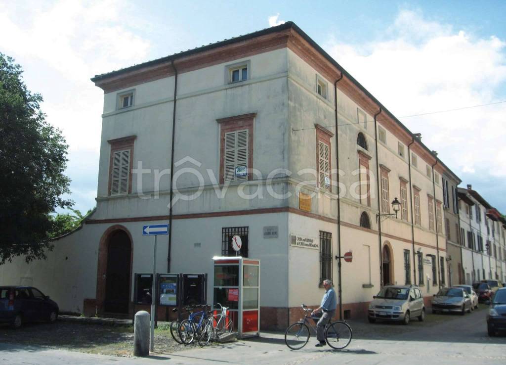 negozio in vendita a Castrocaro Terme e Terra del Sole