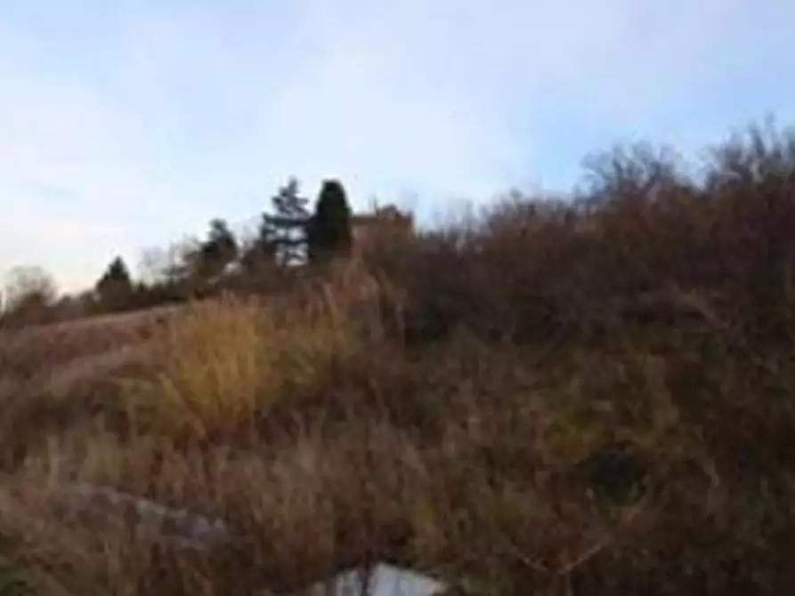 terreno agricolo in vendita a Castrocaro Terme e Terra del Sole