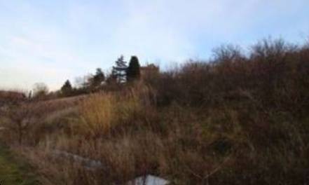 terreno agricolo in vendita a Castrocaro Terme e Terra del Sole
