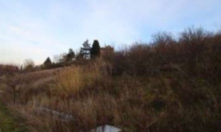 terreno agricolo in vendita a Castrocaro Terme e Terra del Sole