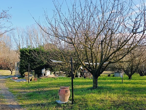 terreno agricolo a Castrocaro Terme e Terra del Sole in zona Pieve Salutare
