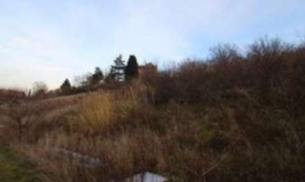 terreno agricolo a Castrocaro Terme e Terra del Sole in zona Pieve Salutare