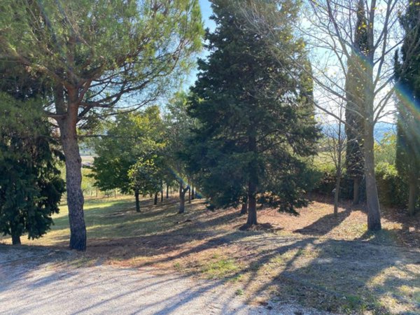 casa indipendente in vendita a Castrocaro Terme e Terra del Sole in zona Ciola