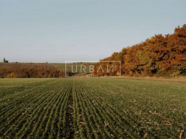 terreno agricolo in vendita a Castrocaro Terme e Terra del Sole