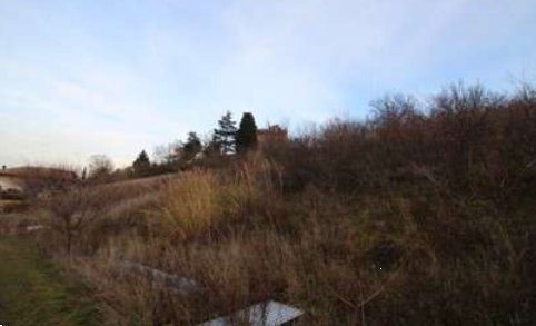 terreno agricolo in vendita a Castrocaro Terme e Terra del Sole