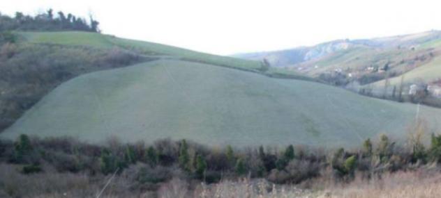 terreno agricolo in vendita a Castrocaro Terme e Terra del Sole