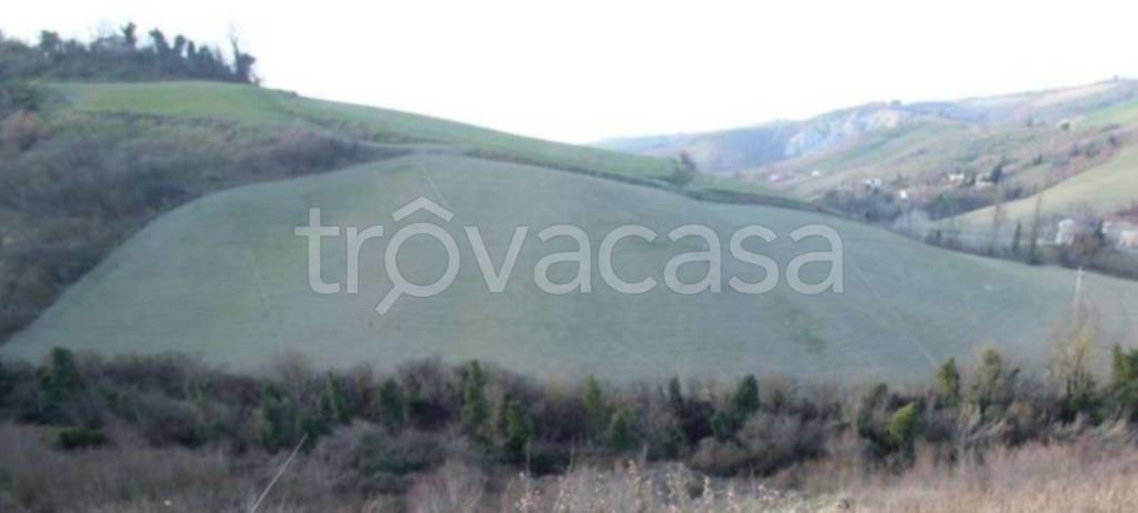 intera palazzina in vendita a Castrocaro Terme e Terra del Sole