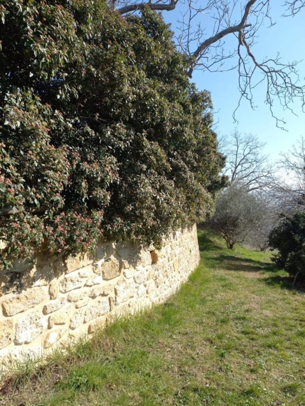 casa indipendente in vendita a Castrocaro Terme e Terra del Sole