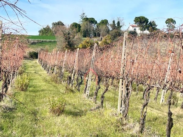 terreno agricolo in vendita a Castrocaro Terme e Terra del Sole