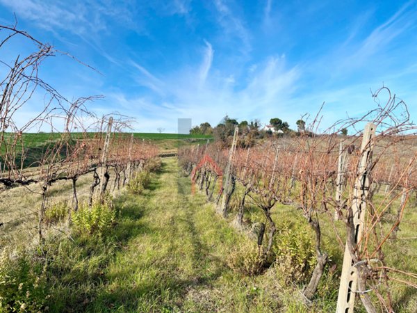terreno agricolo in vendita a Castrocaro Terme e Terra del Sole