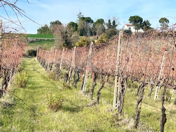 terreno agricolo in vendita a Castrocaro Terme e Terra del Sole