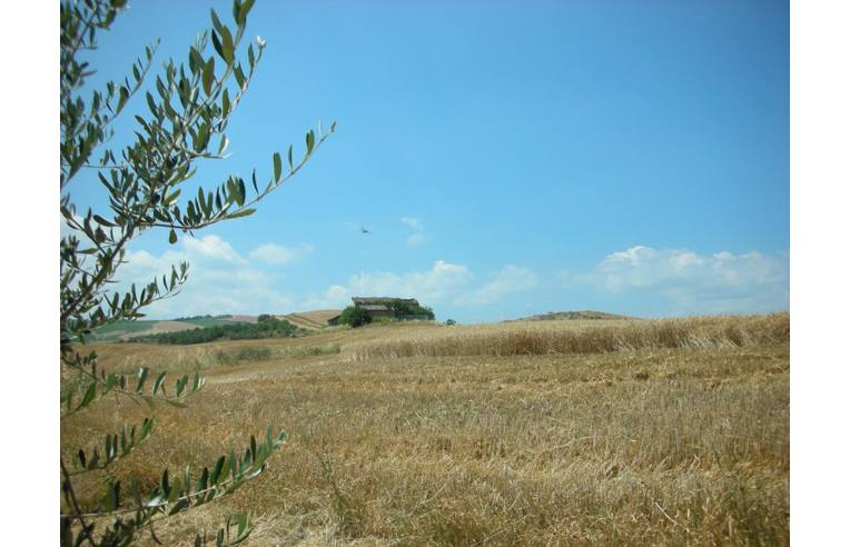 terreno agricolo in vendita a Castrocaro Terme e Terra del Sole