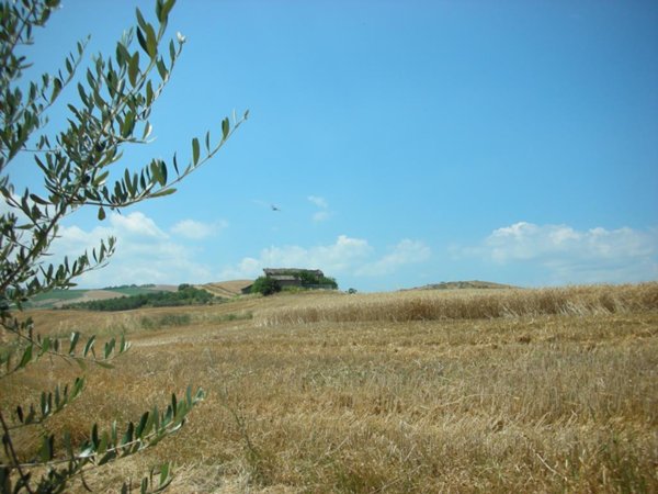 terreno agricolo in vendita a Castrocaro Terme e Terra del Sole