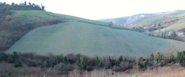 terreno agricolo in vendita a Castrocaro Terme e Terra del Sole