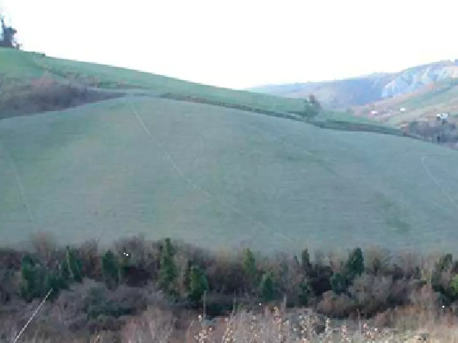 terreno agricolo in vendita a Castrocaro Terme e Terra del Sole