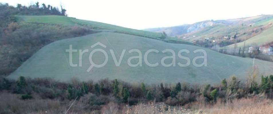 appartamento in vendita a Castrocaro Terme e Terra del Sole