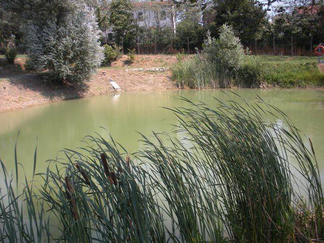 terreno agricolo in vendita a Castrocaro Terme e Terra del Sole
