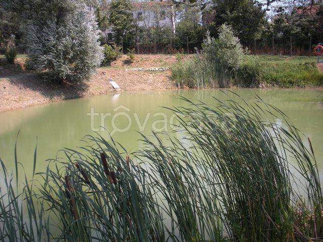 terreno agricolo in vendita a Castrocaro Terme e Terra del Sole