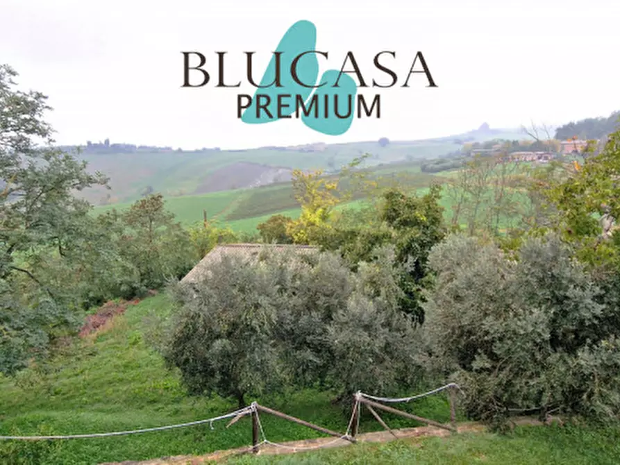 terreno edificabile in vendita a Castrocaro Terme e Terra del Sole