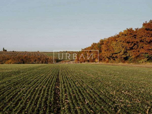 terreno agricolo in vendita a Castrocaro Terme e Terra del Sole