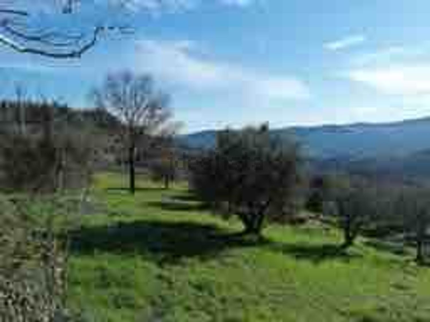 pentavano in vendita a Castrocaro Terme e Terra del Sole
