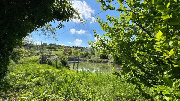 esavano in vendita a Castrocaro Terme e Terra del Sole