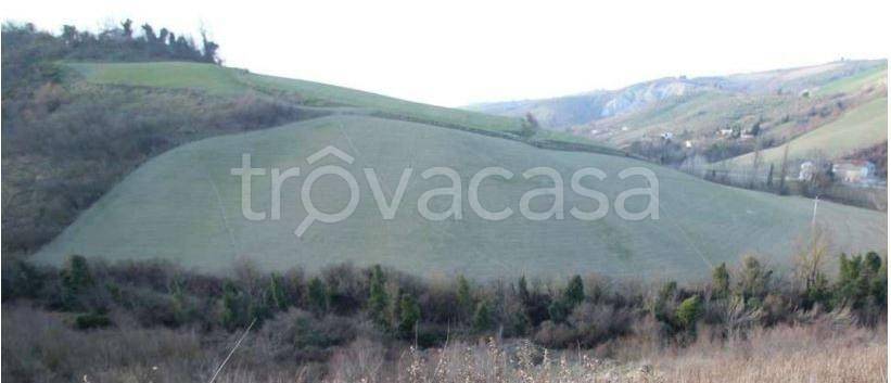 ufficio in vendita a Castrocaro Terme e Terra del Sole