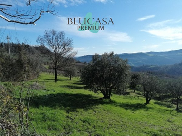 terreno in vendita a Castrocaro Terme e Terra del Sole