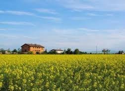 terreno agricolo in vendita a Cesena in zona San Giorgio