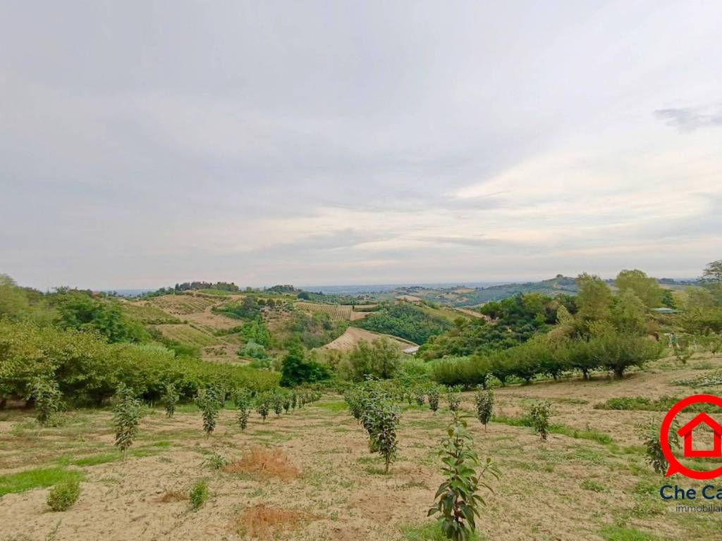 terreno agricolo in vendita a Cesena in zona Saiano