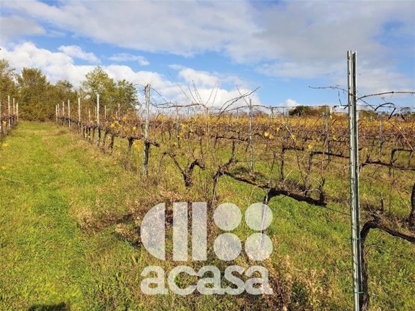 terreno agricolo in vendita a Cesena in zona Madonna dell'Ulivo