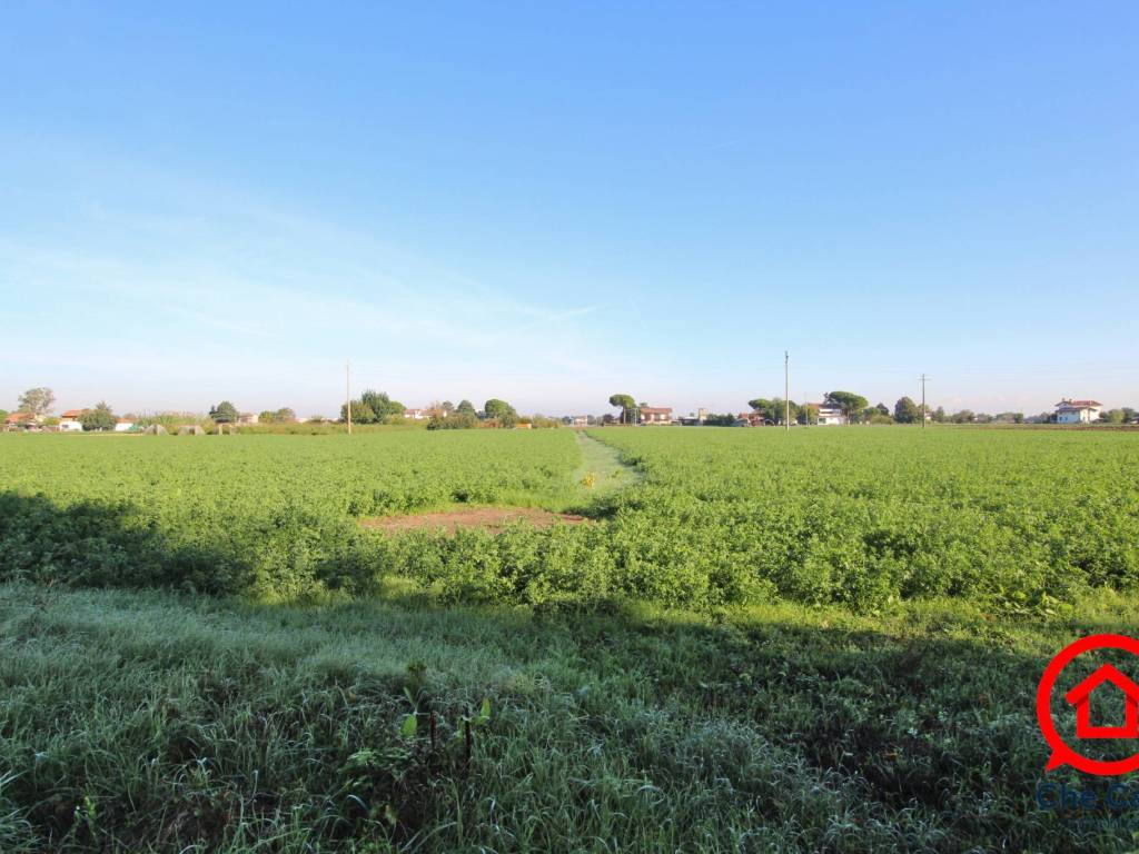 terreno agricolo in vendita a Cesena in zona Calabrina
