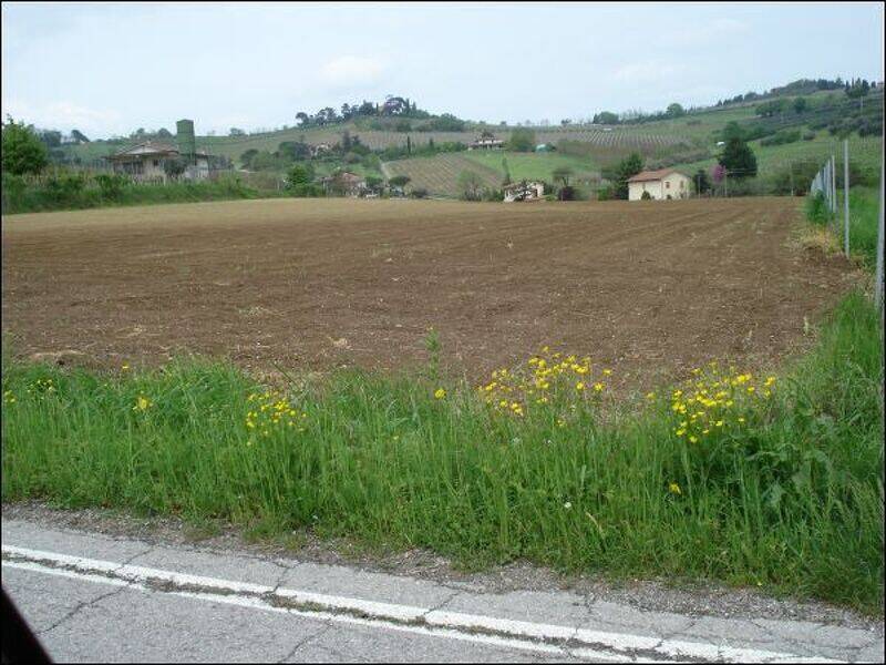 terreno agricolo in vendita a Cesena in zona Settecrociari