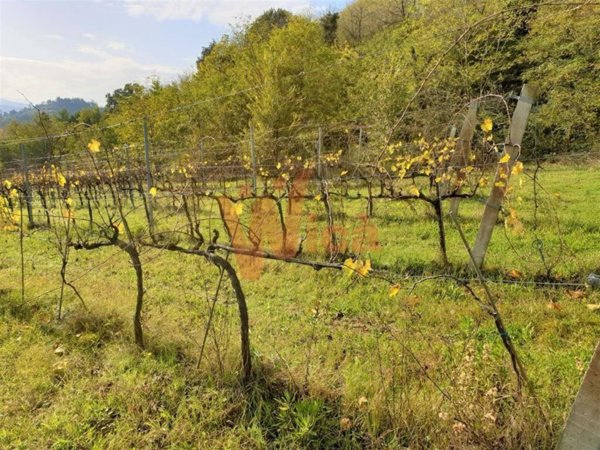 terreno agricolo in vendita a Cesena in zona Carpineta